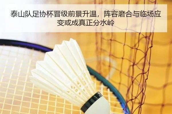 泰山队足协杯晋级前景升温，阵容磨合与临场应变或成真正分水岭